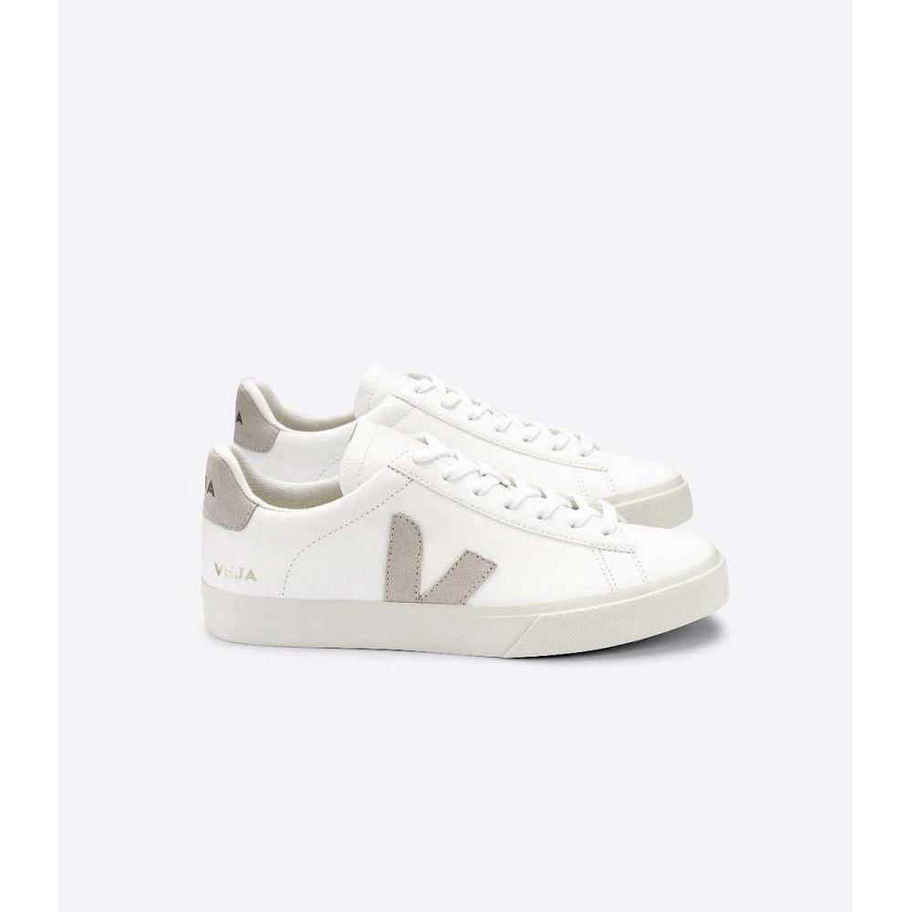 Low Tops Sneakers Veja CAMPO CHROMEFREE Hombre White/Beige | MX 203KOR